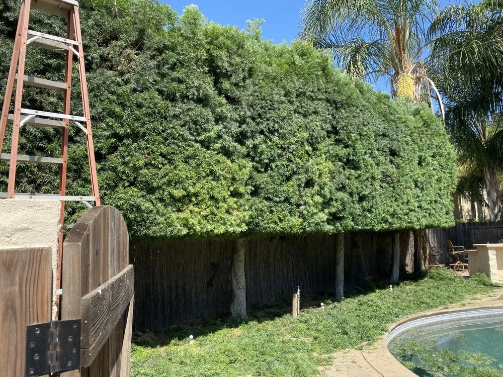 Local garden landscaping experts serving Patterson, CA - Muniz Lawn Care & Maintenance