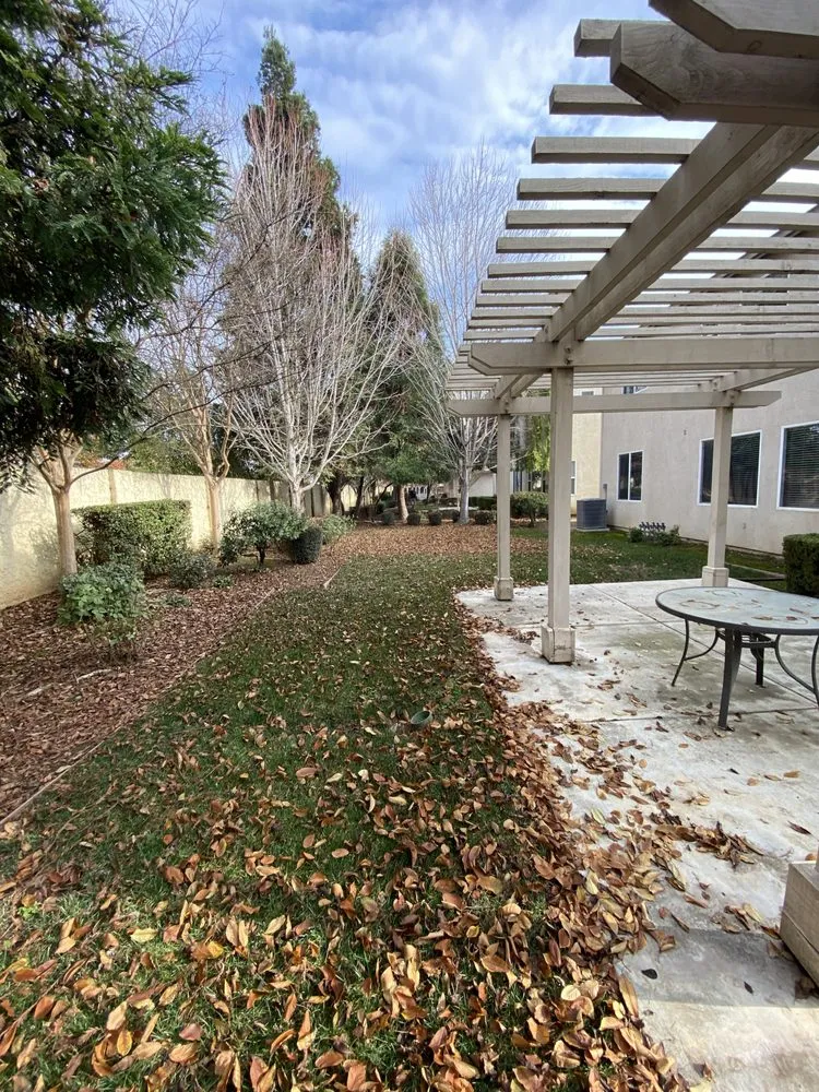 Top-rated residential landscaping in Patterson, CA - Muniz Lawn Care & Maintenance