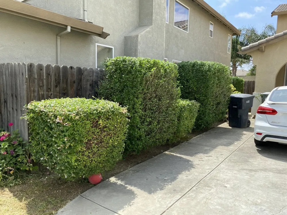 Custom residential landscaping with custom design across Patterson, CA - Muniz Lawn Care & Maintenance