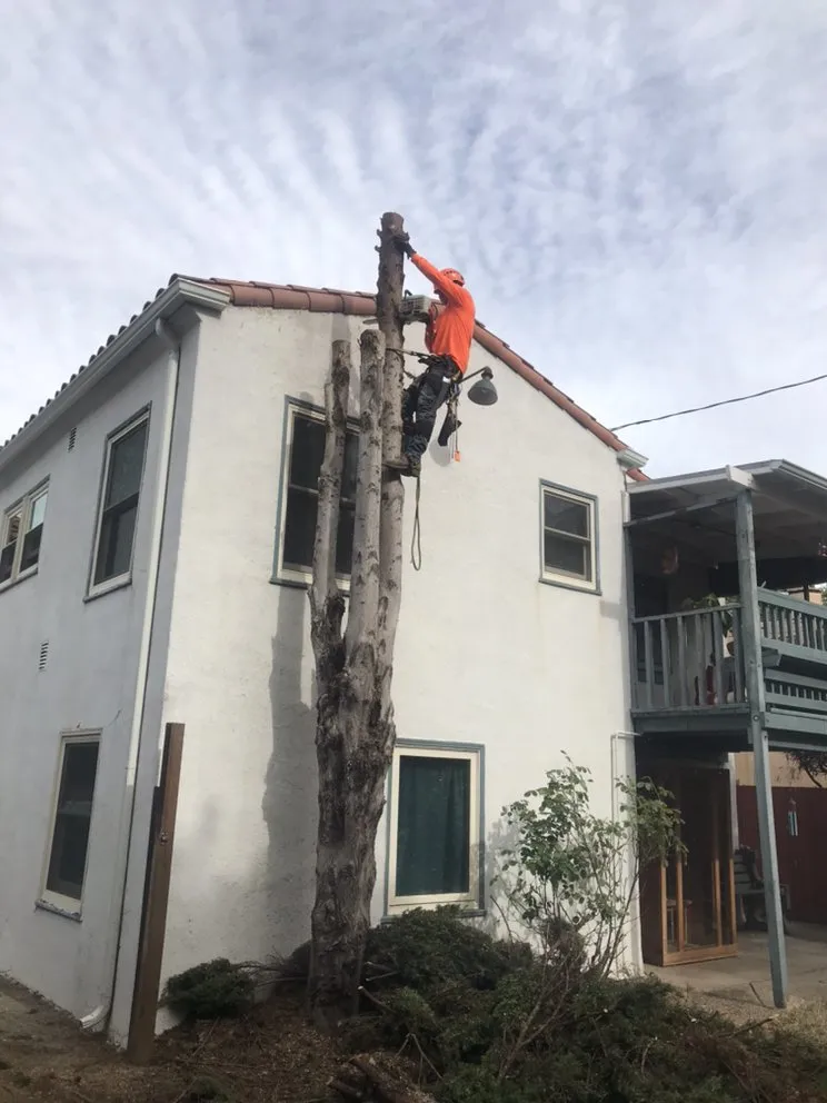 Top-rated residential landscaping experts serving Richmond, CA - Munos Landscaping