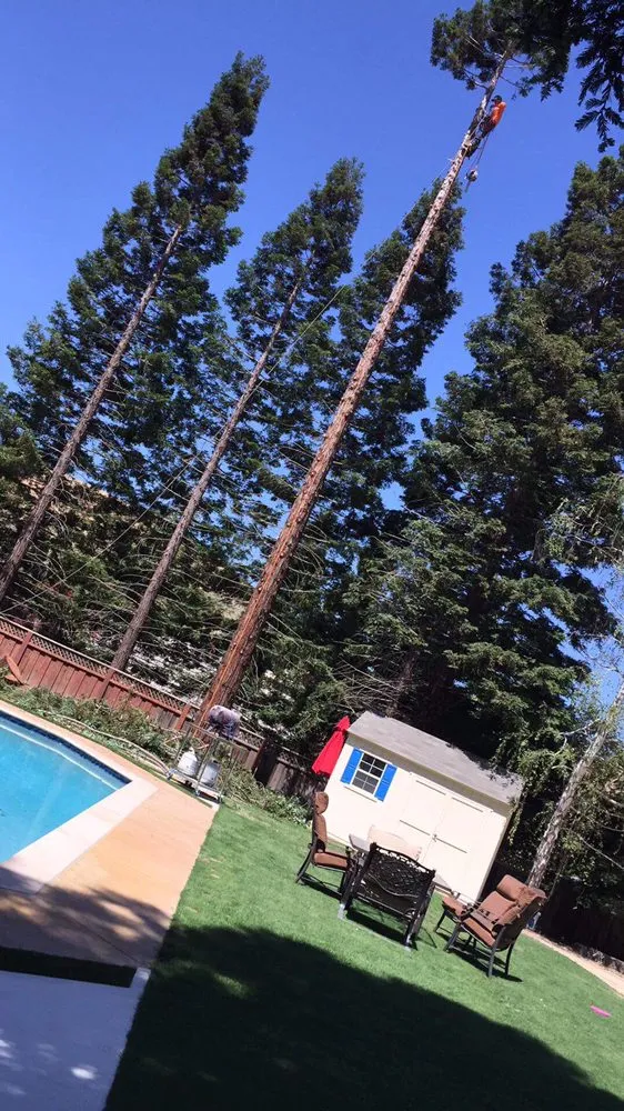 Expert landscaping services experts serving Richmond, CA - Munos Landscaping