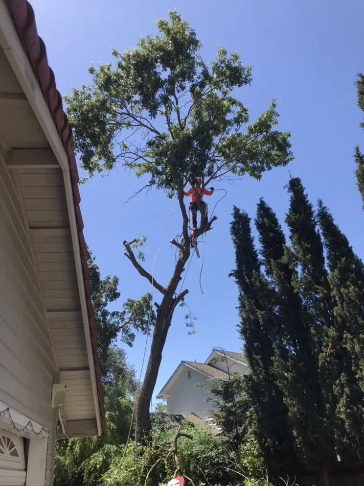 Top-rated landscape installation in Richmond, CA by Munos Landscaping