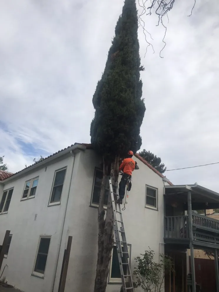 Custom landscape design for year-round maintenance across Richmond, CA - Munos Landscaping