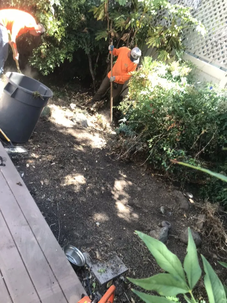 Trusted yard maintenance in Richmond, CA by Munos Landscaping