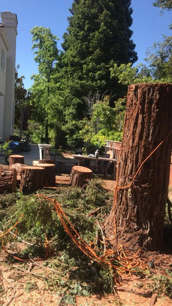 Affordable landscape design for outdoor upgrades across Richmond, CA - Munos Landscaping