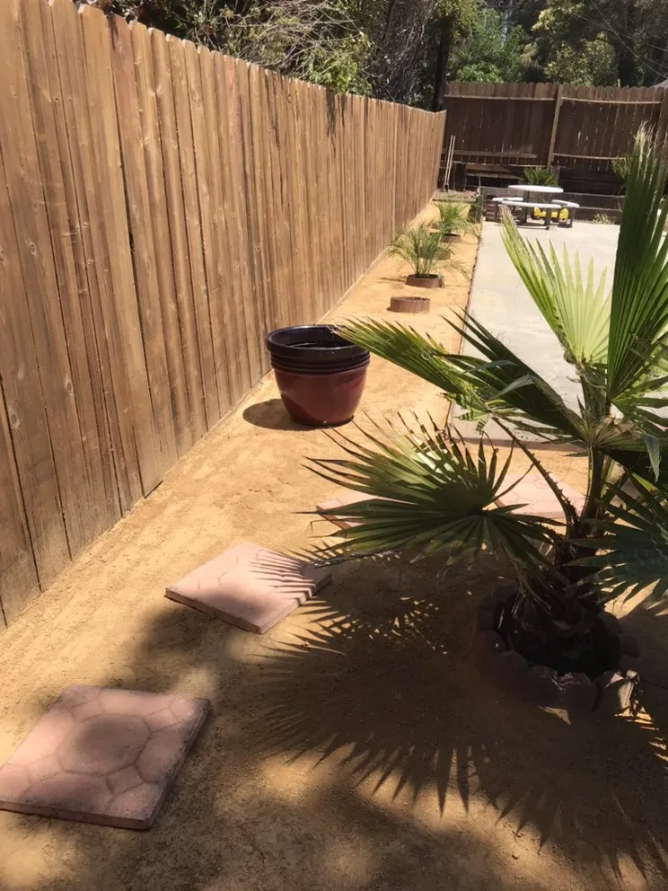 Top-rated landscaping services for beautiful yards across Richmond, CA - Munos Landscaping