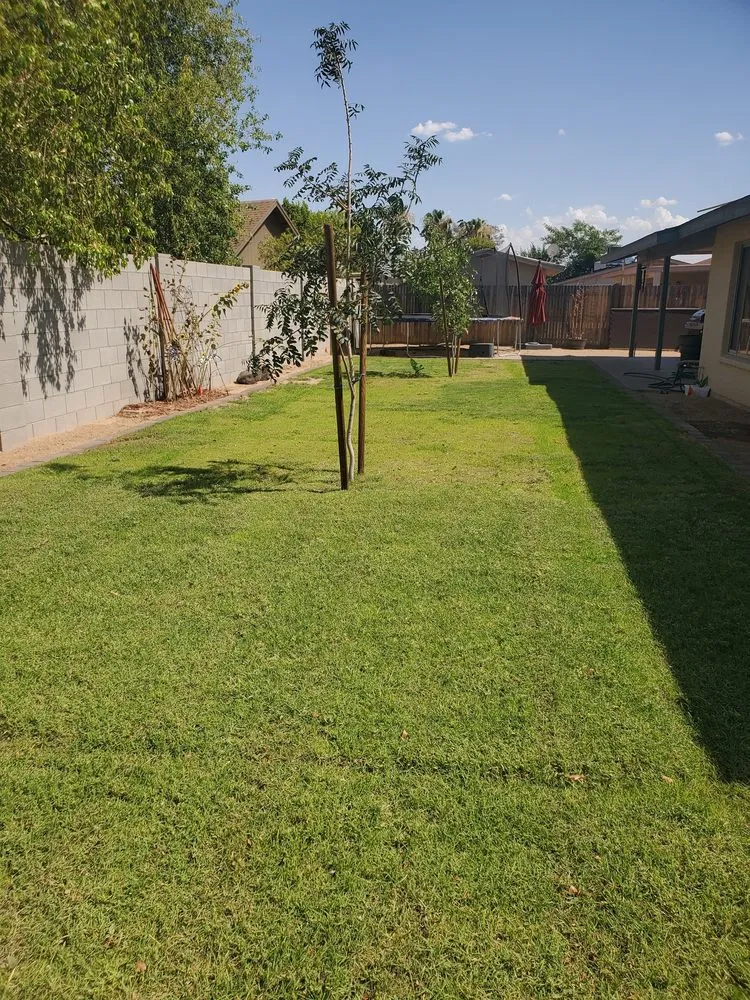 Affordable residential landscaping for beautiful yards in Peoria, AZ by Munos Lawn Service