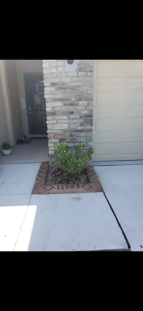 Professional landscape installation with custom design across Belleview, FL - Munoz Curbing Landscaping