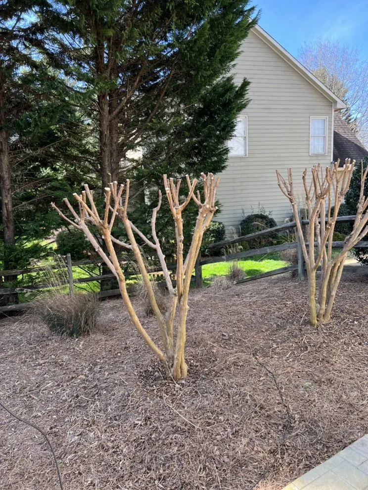 Top-rated lawn care service for residential properties in Winder, GA by Munoz Family Lawn Care & Landscape