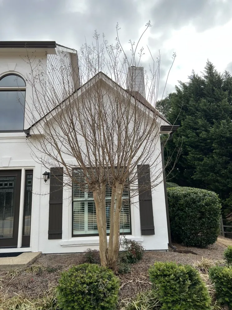 Affordable outdoor landscaping in Winder, GA by Munoz Family Lawn Care & Landscape