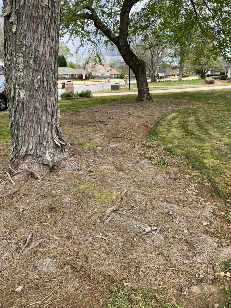 Affordable garden landscaping experts serving Winder, GA - Munoz Family Lawn Care & Landscape