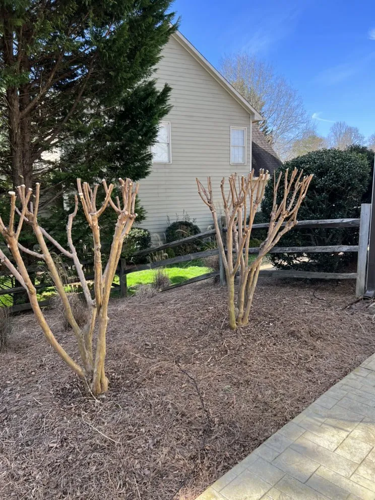 Professional yard maintenance for beautiful yards across Winder, GA - Munoz Family Lawn Care & Landscape