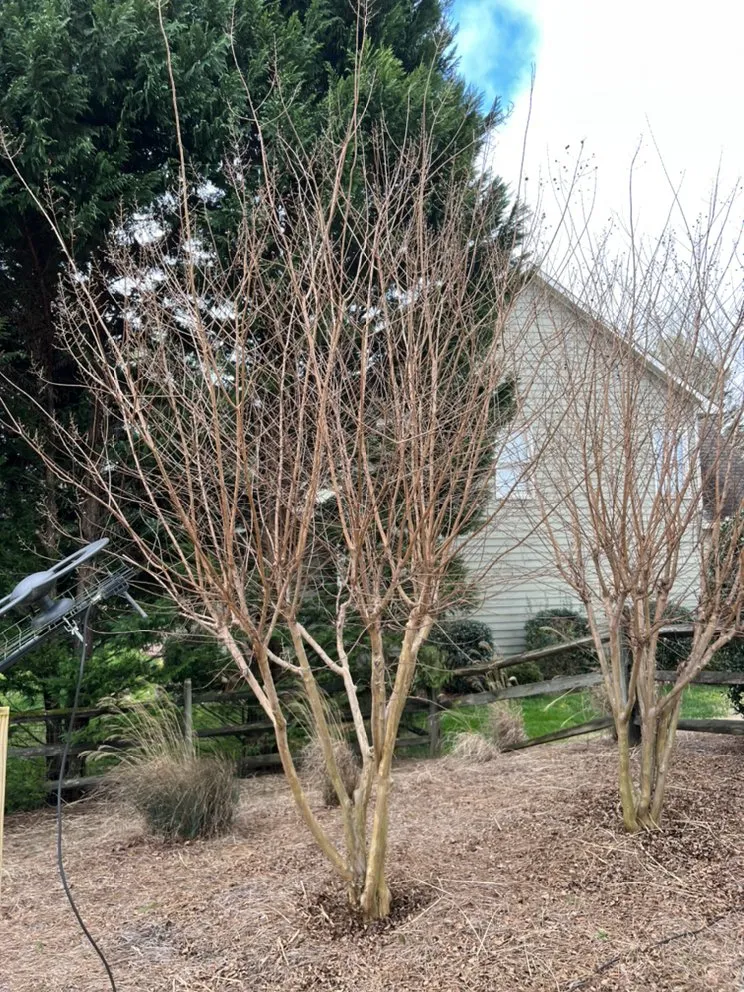 Local yard cleanup service near you across Winder, GA - Munoz Family Lawn Care & Landscape