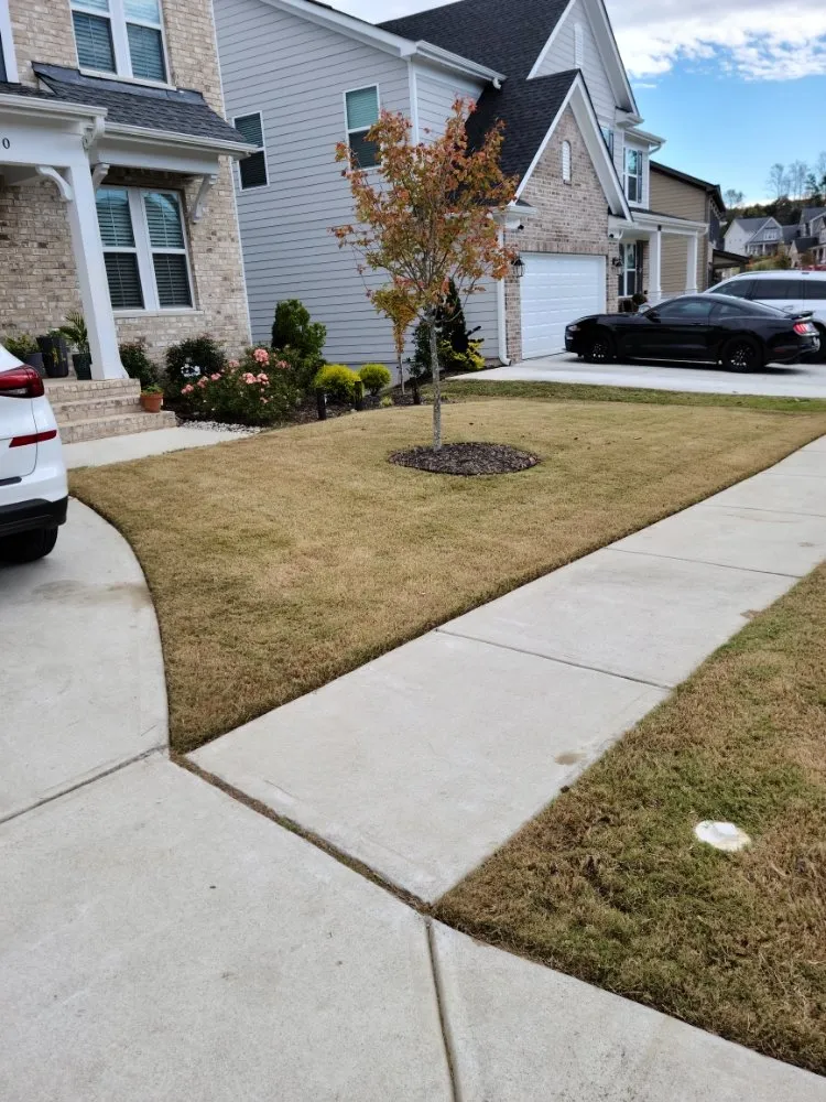 Trusted landscape installation in Winder, GA by Munoz Family Lawn Care & Landscape