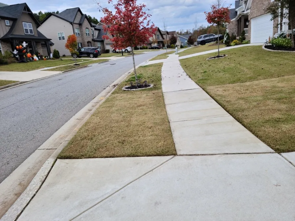 Expert landscape installation experts serving Winder, GA - Munoz Family Lawn Care & Landscape