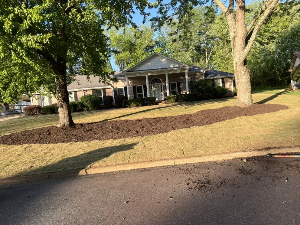 Reliable yard cleanup service for year-round maintenance in Winder, GA by Munoz Family Lawn Care & Landscape