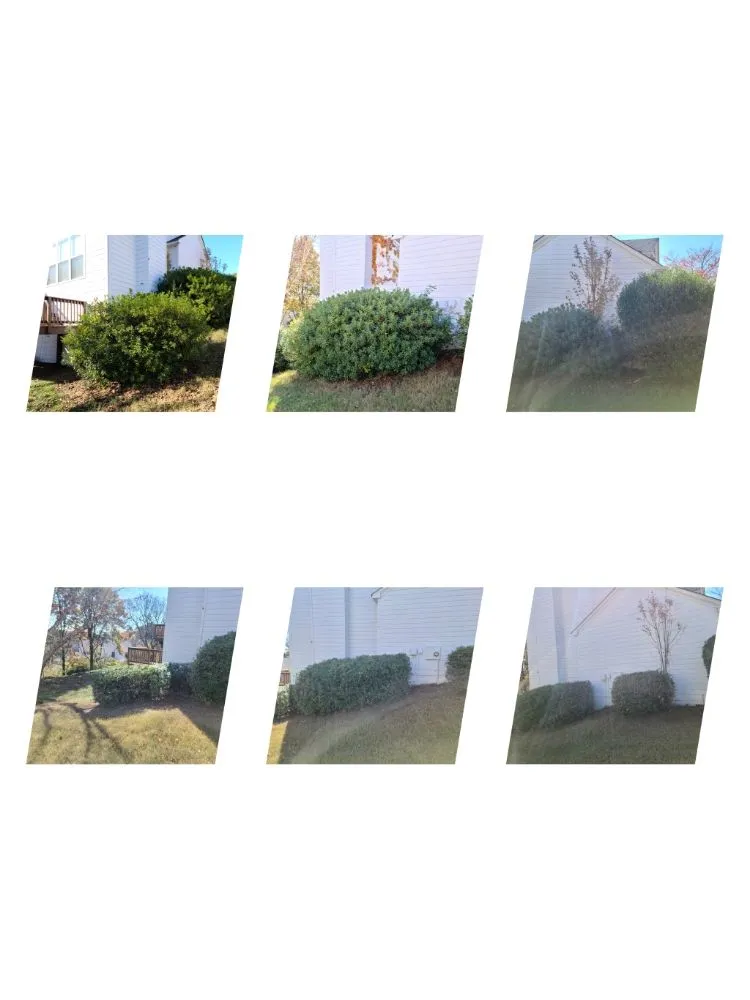 Custom residential landscaping with custom design in Winder, GA by Munoz Family Lawn Care & Landscape