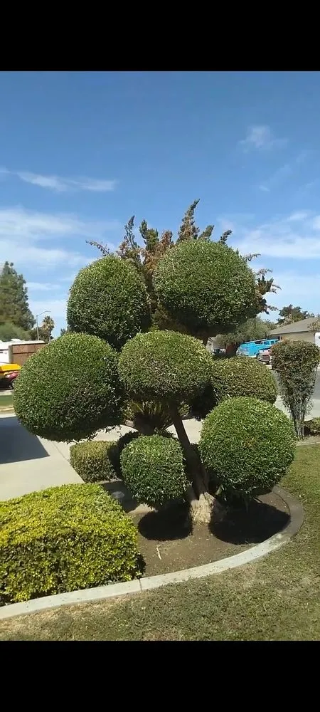 Expert garden landscaping in Washington Terrace, UT - Munoz Hauling Services