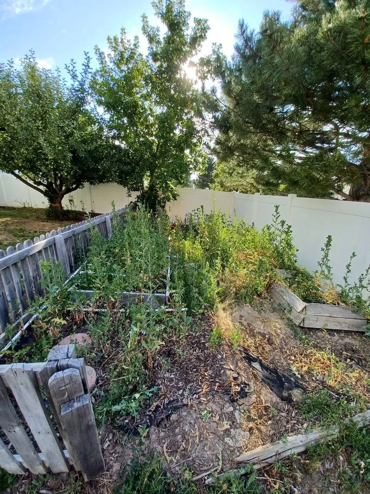 Expert residential landscaping for beautiful yards across Washington Terrace, UT - Munoz Hauling Services