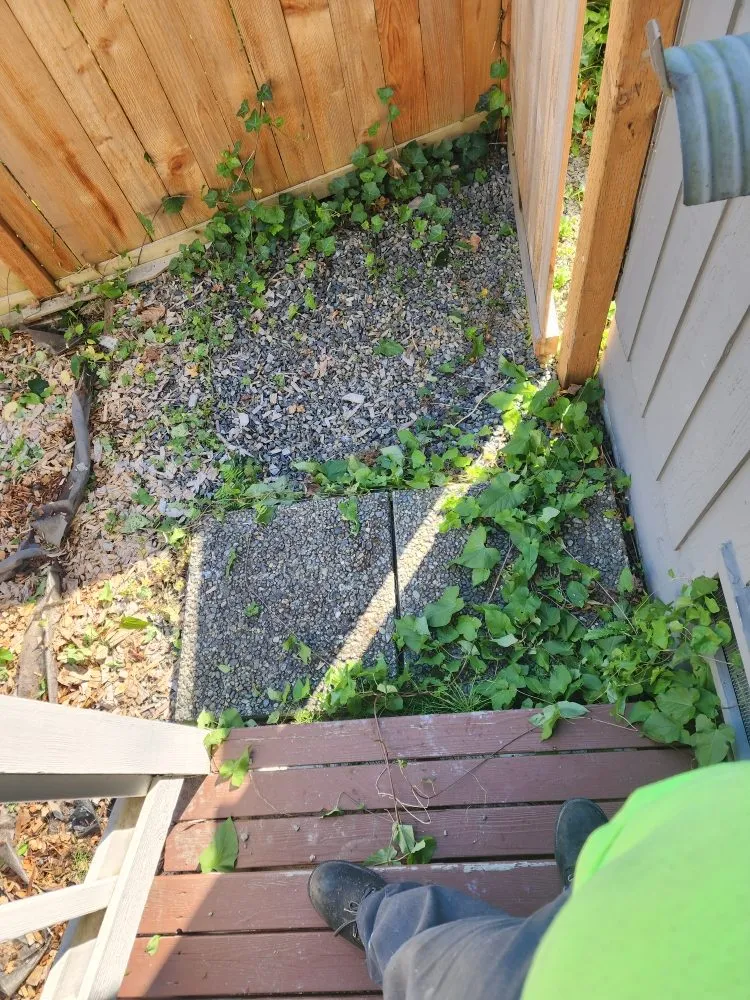 Affordable lawn mowing service with custom design in Everett, WA by Munoz Home Care