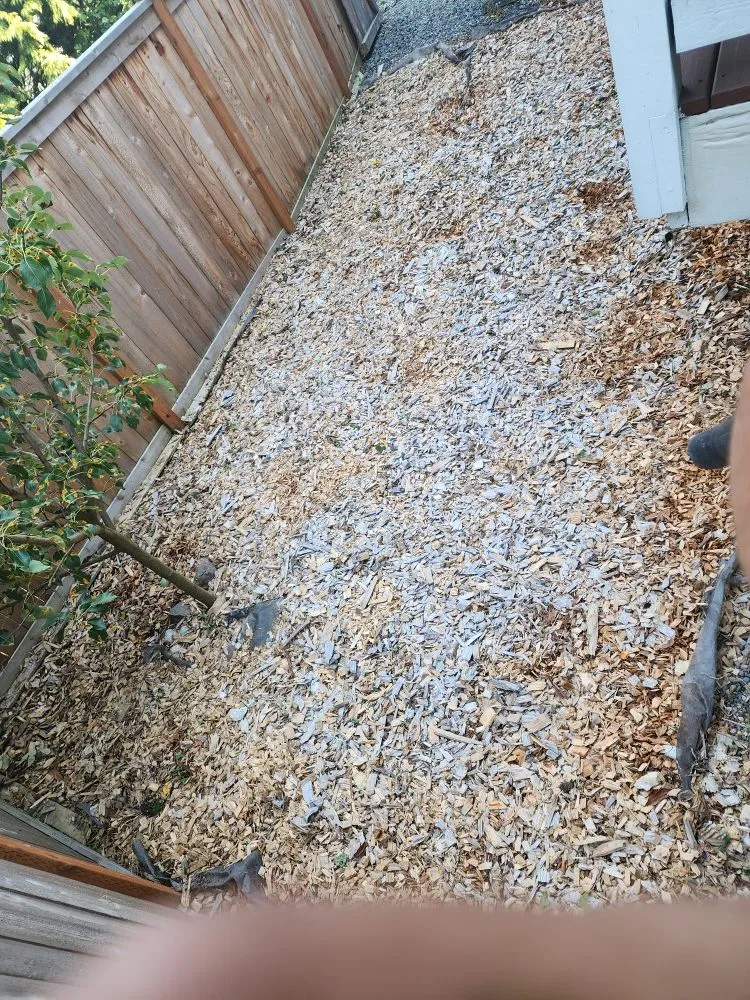 Reliable landscape installation in Everett, WA by Munoz Home Care