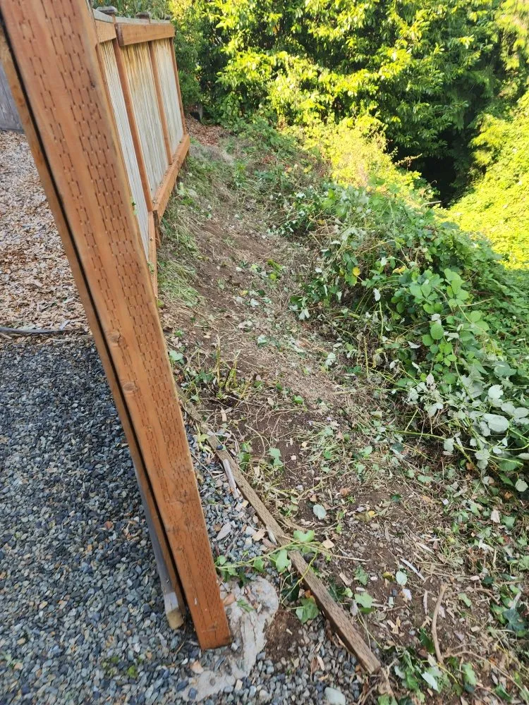 Custom landscape design for residential properties across Everett, WA - Munoz Home Care