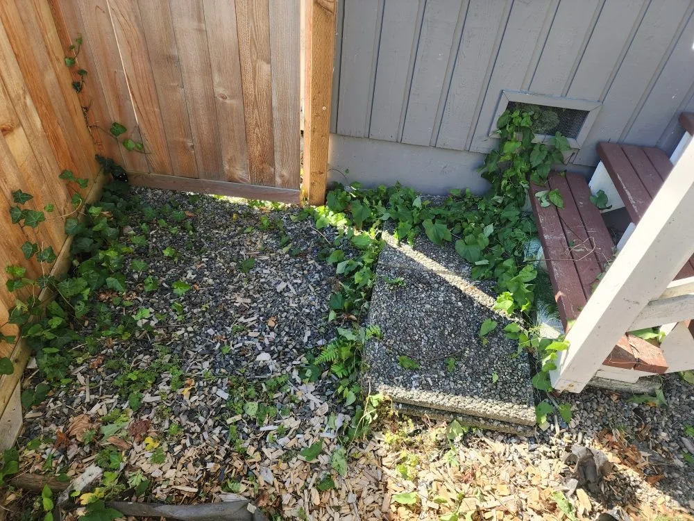 Trusted yard maintenance for year-round maintenance across Everett, WA - Munoz Home Care