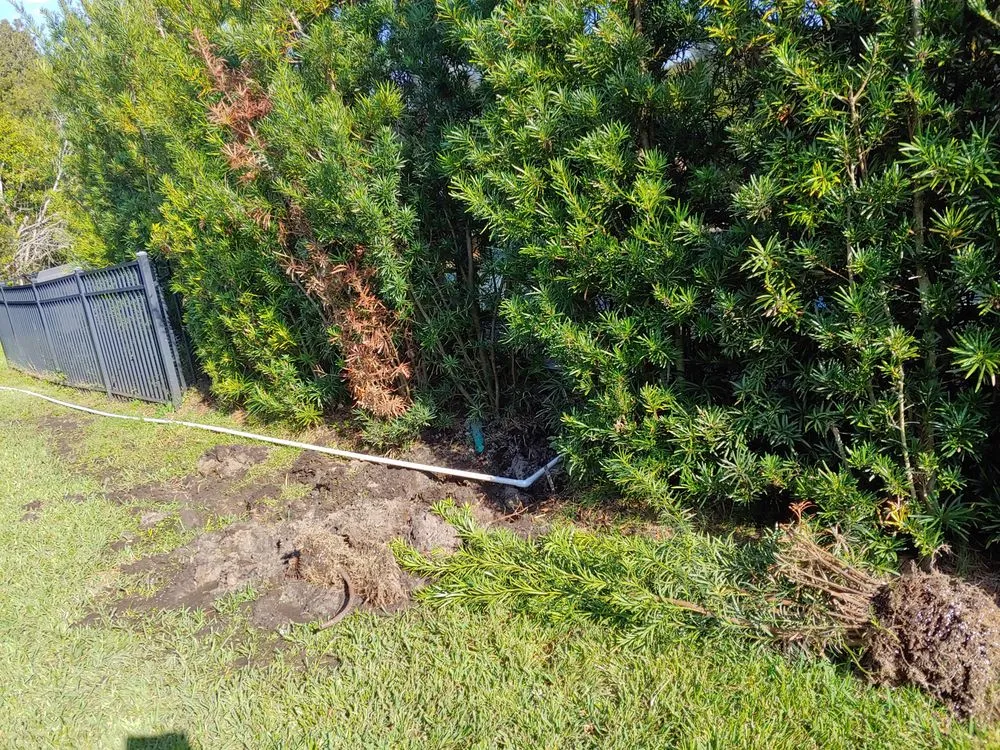 Affordable landscape design for residential properties in Bradenton, FL by Munoz Irrigation