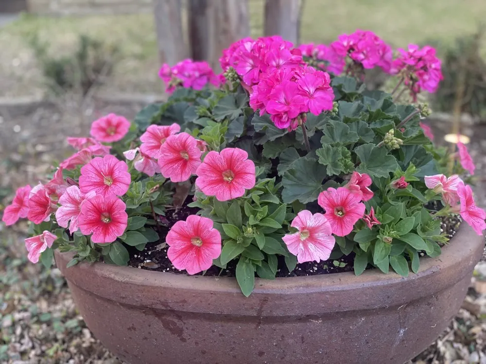 Expert landscape design with custom design across Dallas, TX - Munoz Landscape