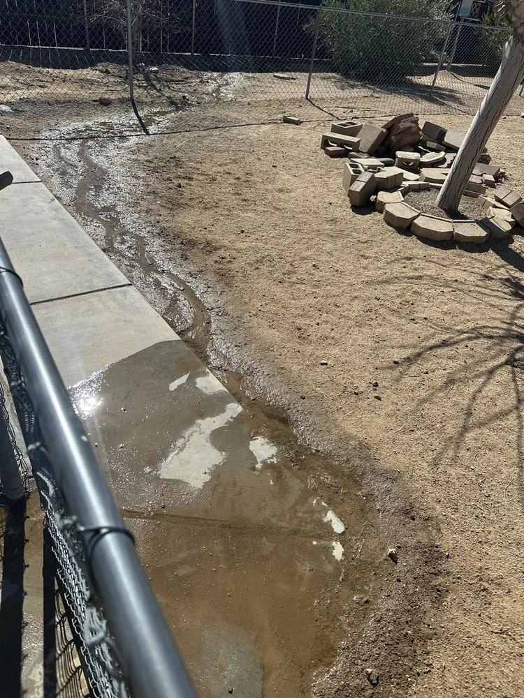 Custom yard maintenance in Victorville, CA by Munoz Landscape