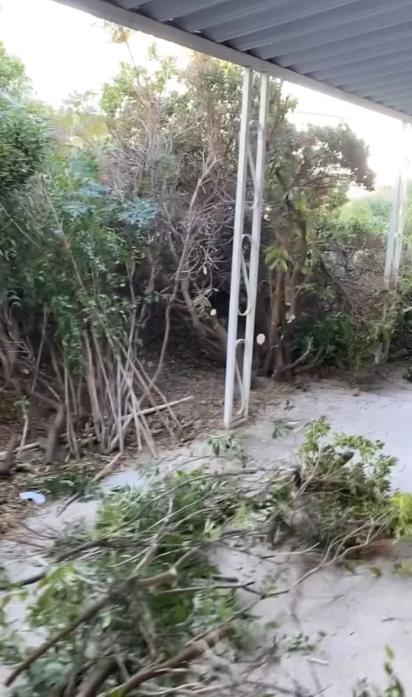 Top-rated lawn mowing service for year-round maintenance across Victorville, CA - Munoz Landscape