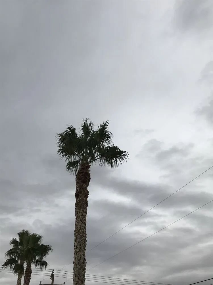 Expert residential landscaping for beautiful yards in Victorville, CA by Munoz Landscape