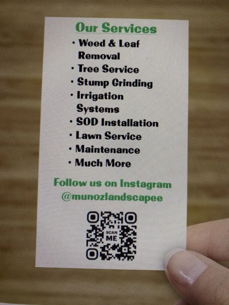 Expert yard maintenance in Victorville, CA - Munoz Landscape