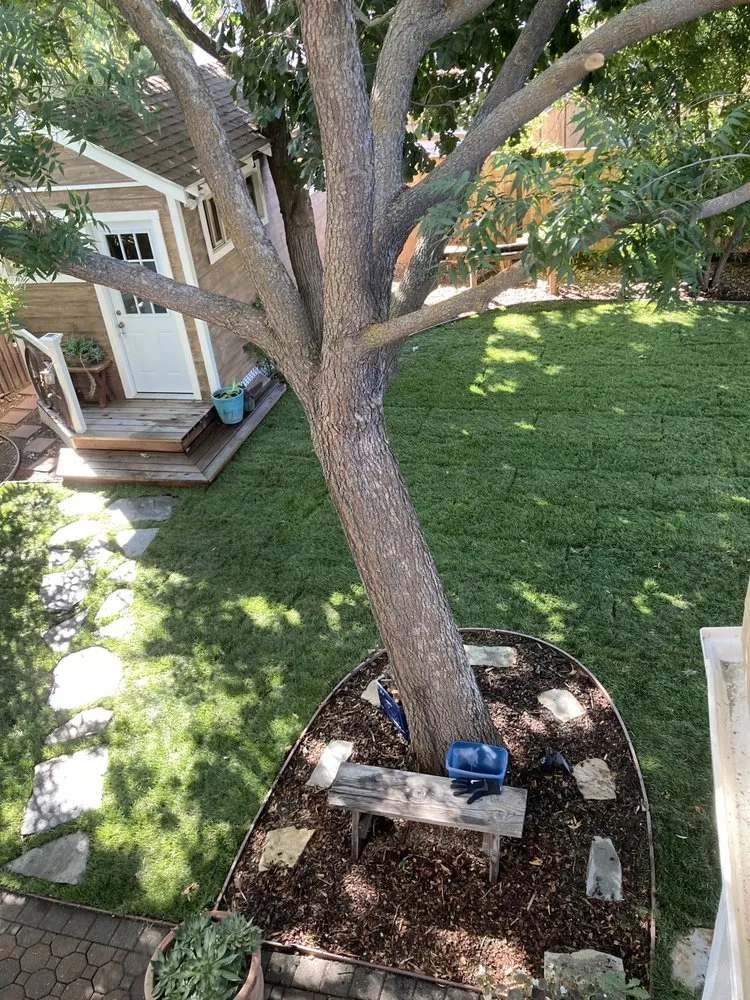 Expert outdoor landscaping with custom design in Antioch, CA by Munoz Landscaping