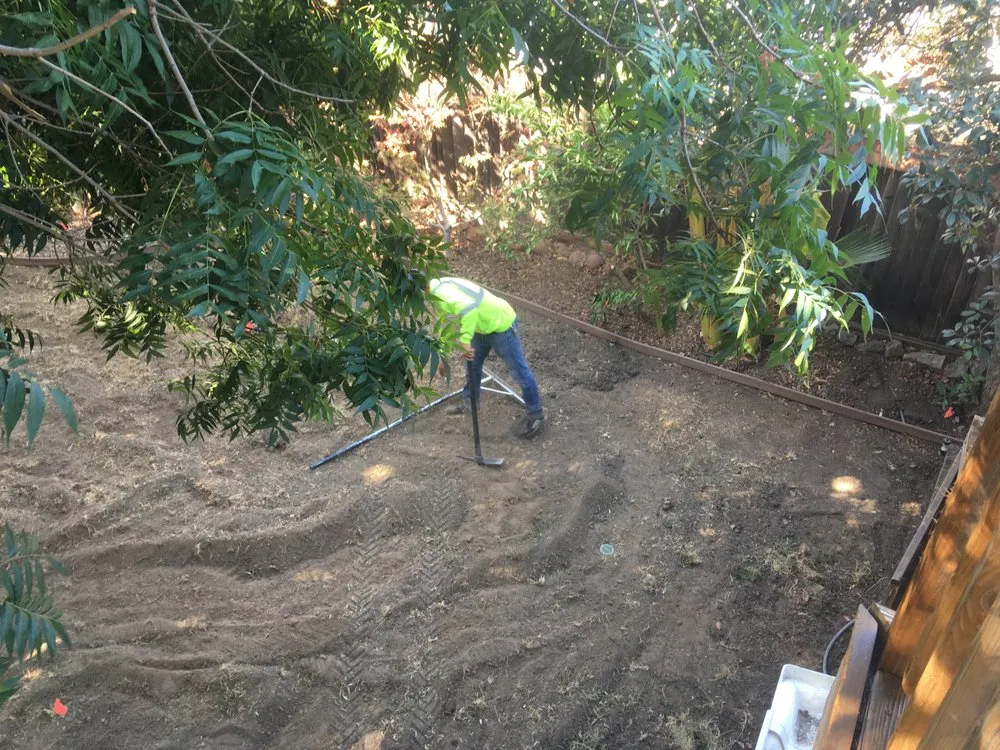 Affordable lawn mowing service in Antioch, CA - Munoz Landscaping