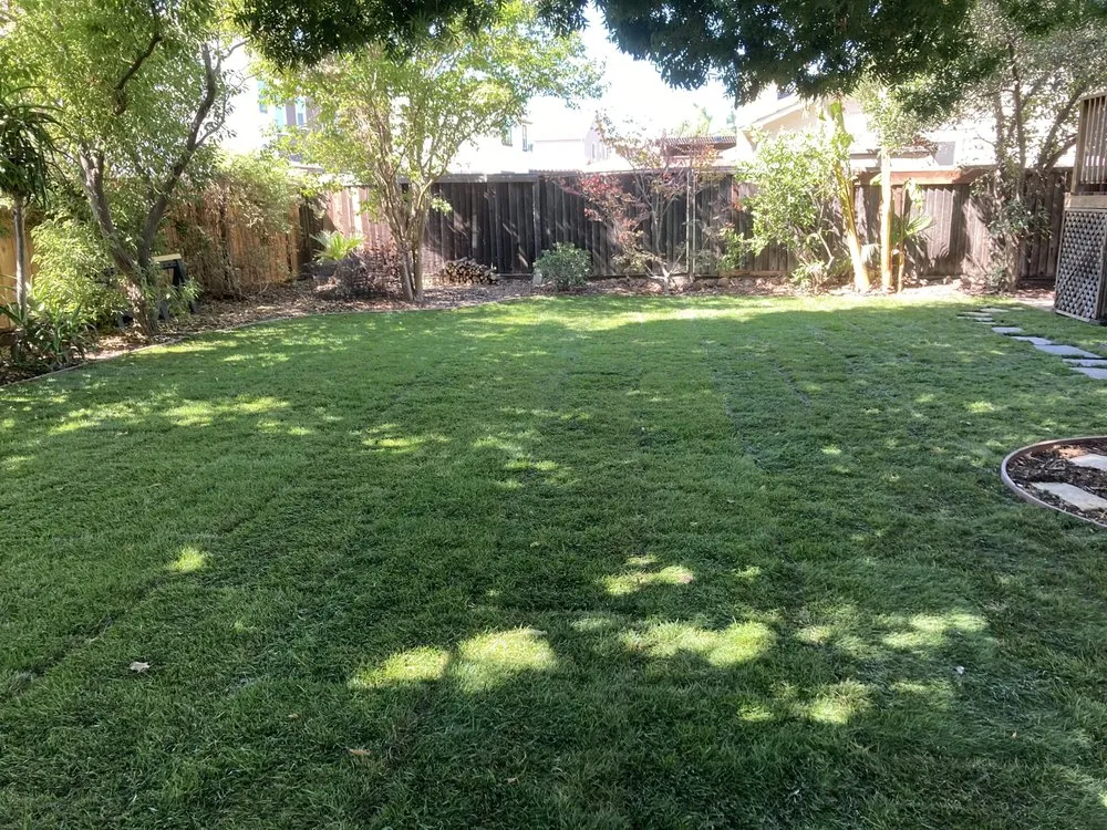 Trusted lawn care service in Antioch, CA - Munoz Landscaping