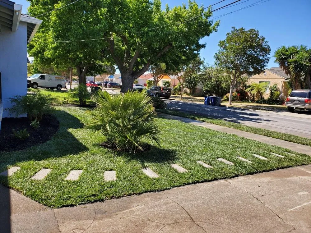 Trusted landscape design in Antioch, CA by Munoz Landscaping