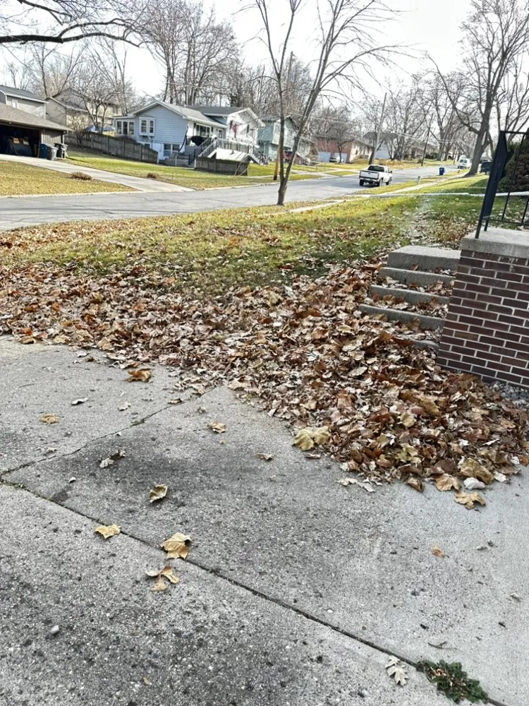 Professional lawn care service for outdoor upgrades across Clive, IA - Munoz Landscaping