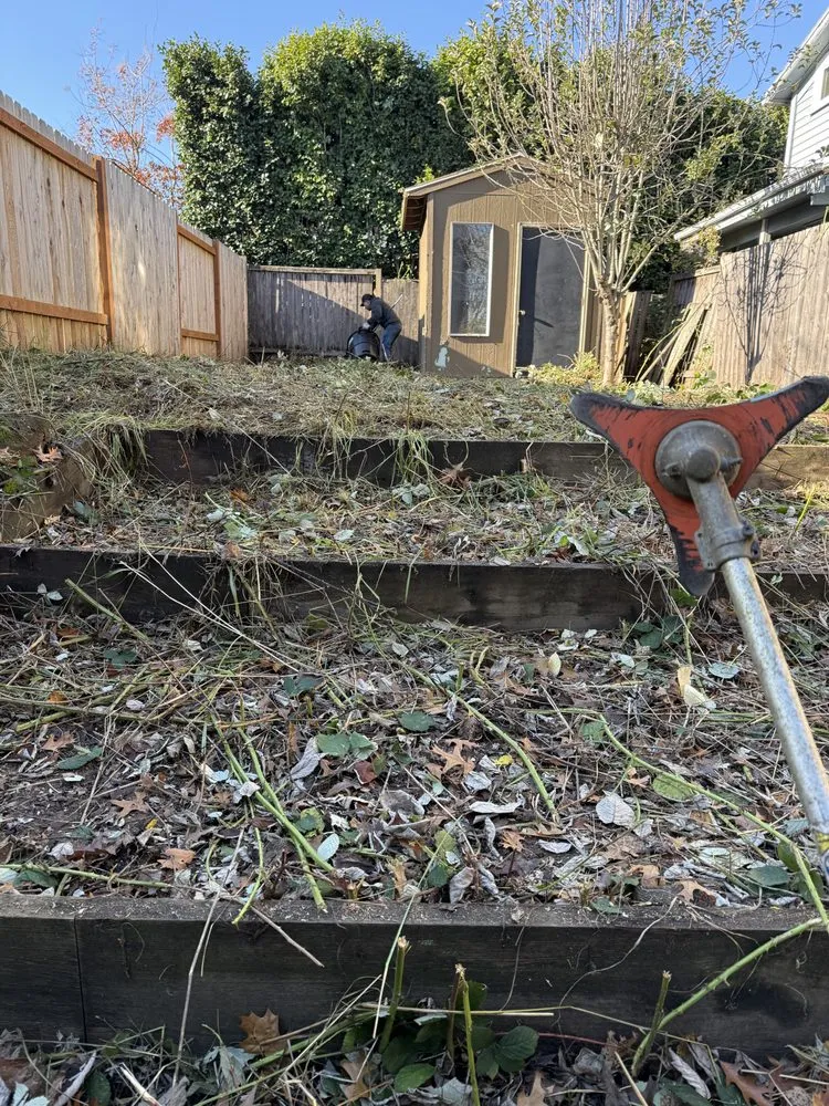 Trusted yard maintenance for outdoor upgrades in Cornelius, OR by Munoz Landscaping