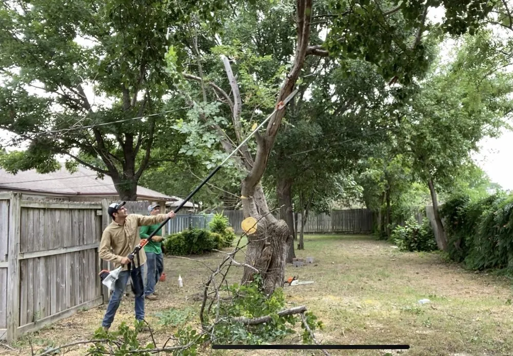 Reliable lawn mowing service in Dallas, TX - Munoz Landscaping