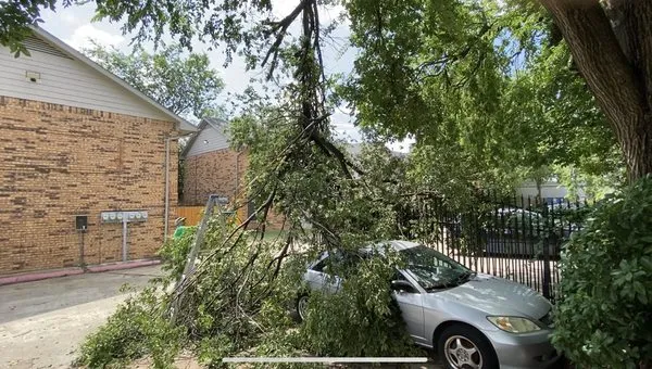 Munoz Landscaping Logo