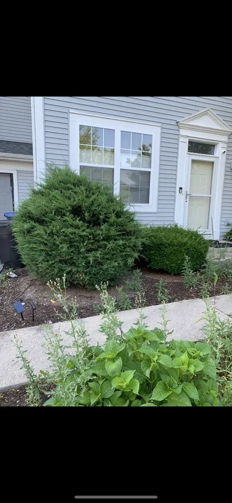 Reliable yard maintenance in Batavia, IL - Munoz Landscaping Lawncare