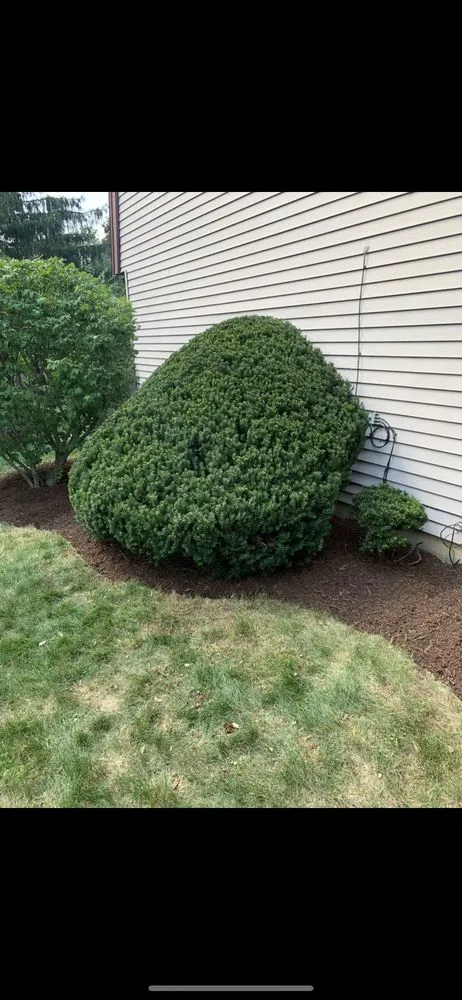 Professional landscape design in Batavia, IL - Munoz Landscaping Lawncare