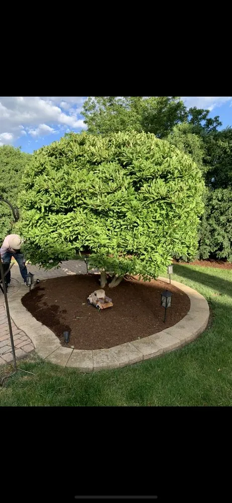 Professional yard maintenance for homes across Batavia, IL - Munoz Landscaping Lawncare