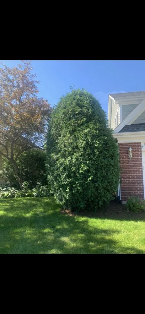 Expert garden landscaping experts serving Batavia, IL - Munoz Landscaping Lawncare