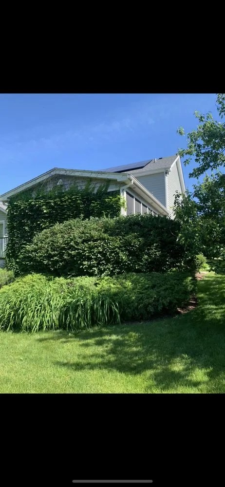 Affordable yard maintenance for outdoor upgrades in Batavia, IL by Munoz Landscaping Lawncare