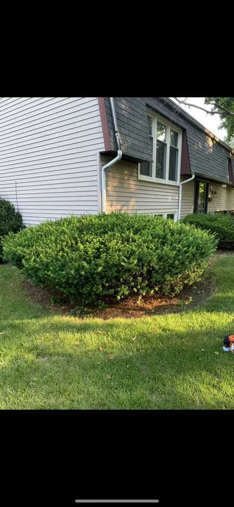 Trusted landscape design in Batavia, IL by Munoz Landscaping Lawncare