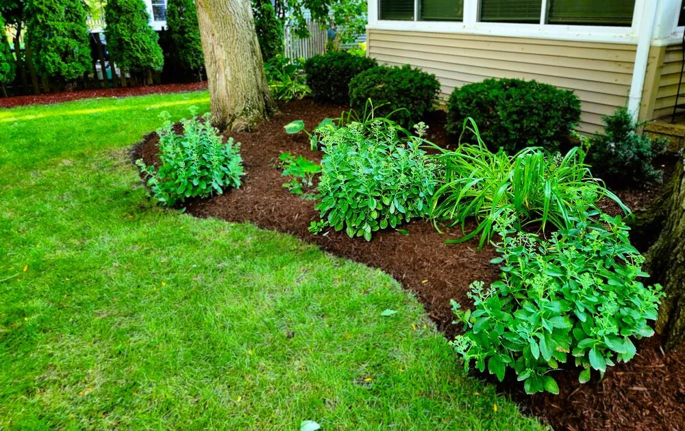 Expert landscaping services in Batavia, IL by Munoz Landscaping Lawncare