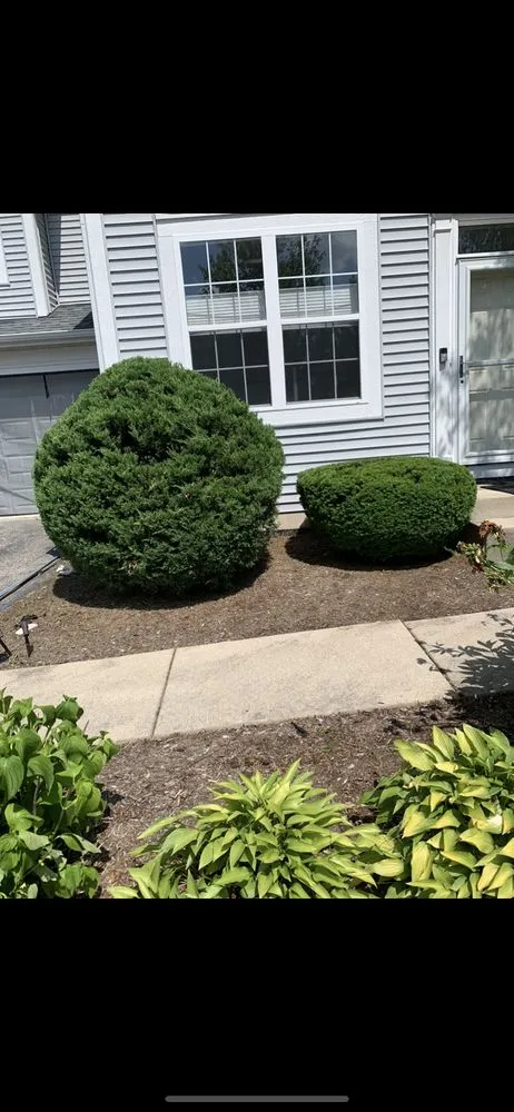 Expert lawn care service in Batavia, IL by Munoz Landscaping Lawncare