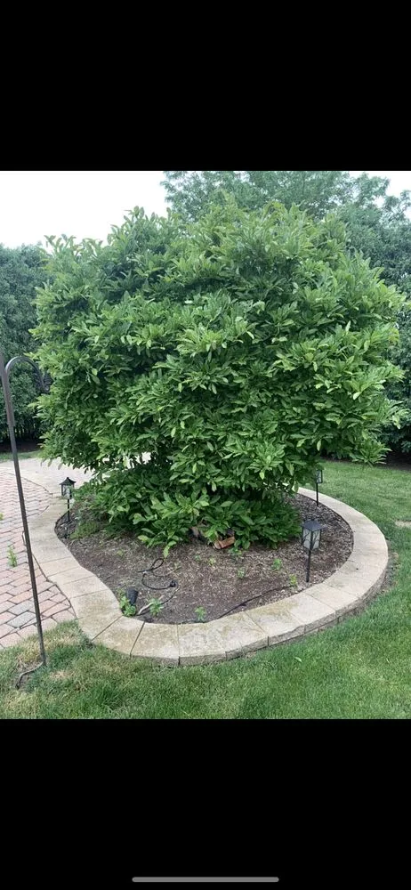 Reliable yard maintenance for year-round maintenance across Batavia, IL - Munoz Landscaping Lawncare